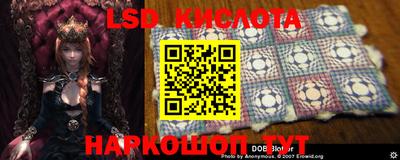 apvp Чебоксары