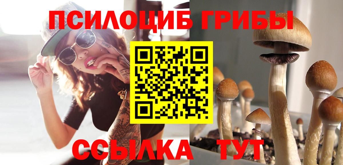 Воскресенск  Псилоцибиновые грибы MAGIC MUSHROOMS  Вход с VPN  Галлюциногенные грибы ЛСД 