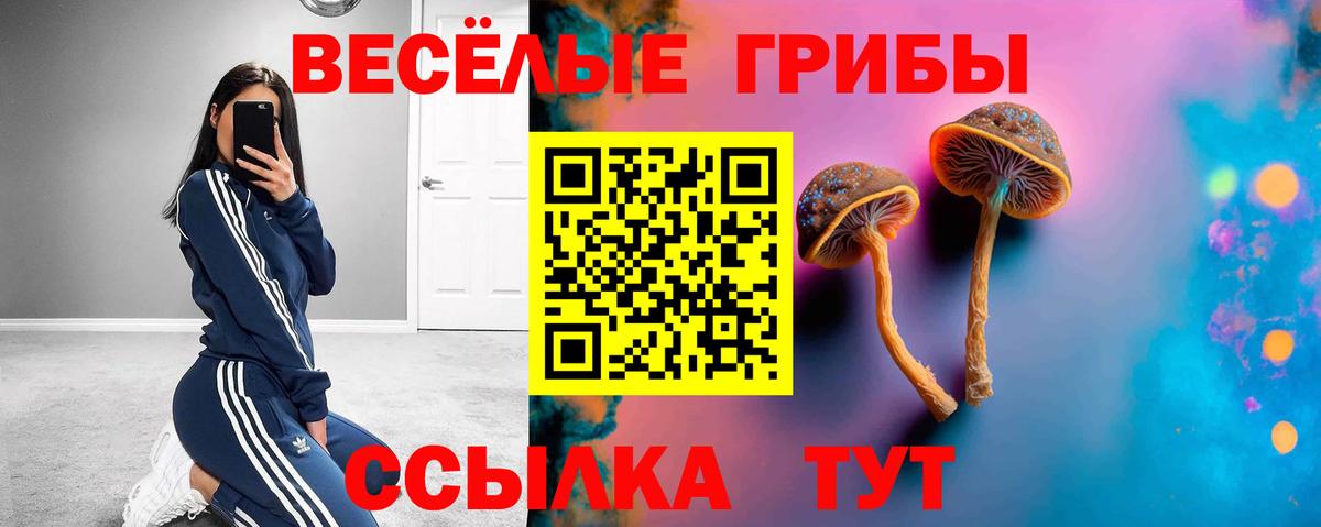 Псилоцибиновые грибы Cubensis Воскресенск